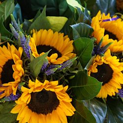 © ELJAKIM Gospelkoor